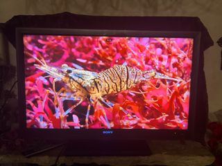 TV SONY BRAVIA 40 pulgadas +mando