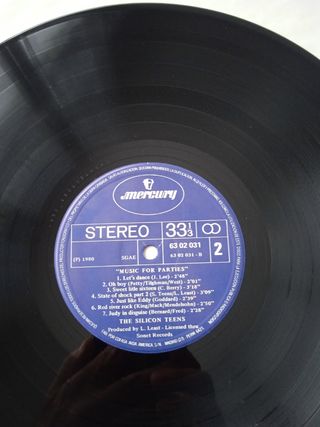 SILICON TEENS LP VINILO