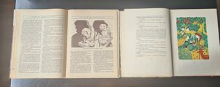 2 libros de cuentos bellísimos i ilustrados