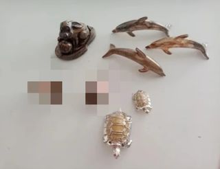 Oggetti da vetrinetta