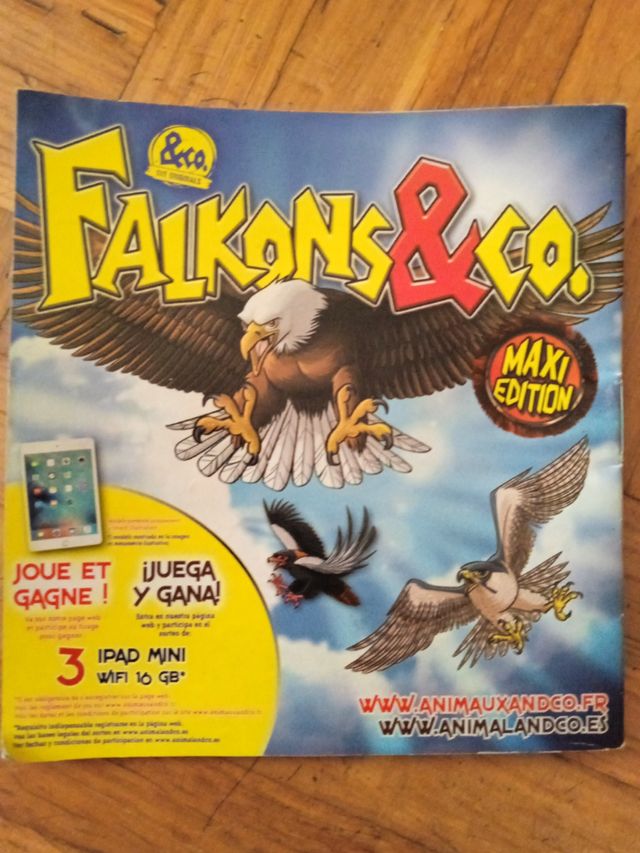 Pack Falkons&Co