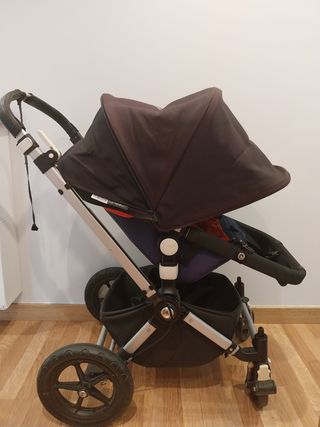 BUGABOO CAMALEÓN