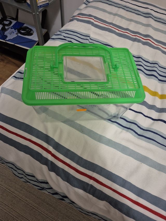 Transportin de peces