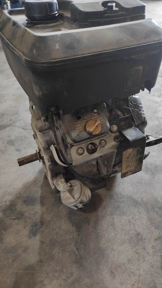 Despiece motor 18hp