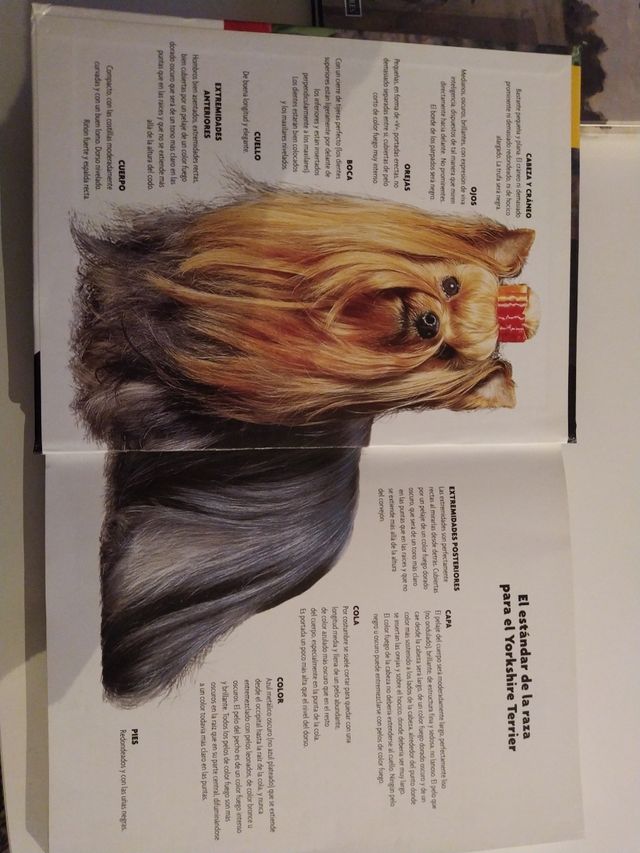 Libro Yorkshire Terrier