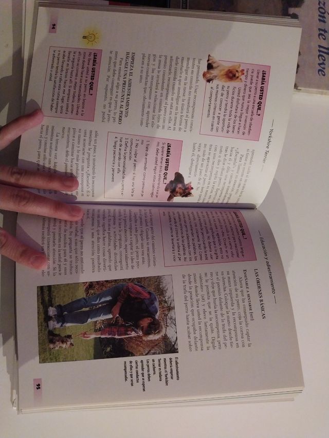 Libro Yorkshire Terrier