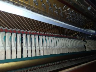 Piano pared económico