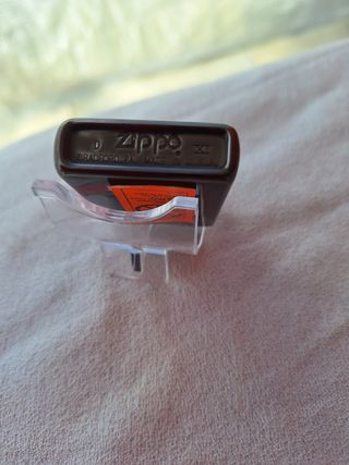Zippo siamese cat