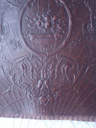 Placa piel modernista