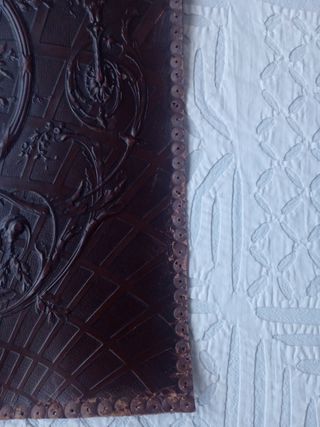 Placa piel modernista