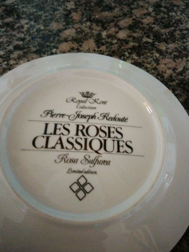 Plantó de  antiguos de muchos años de co