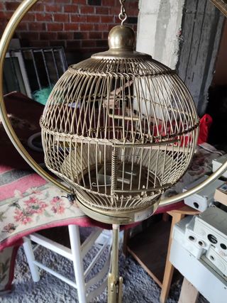 Jaula pájaro con pie