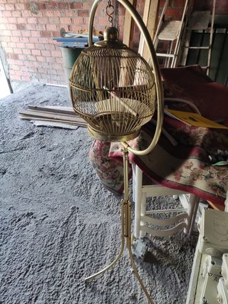 Jaula pájaro con pie