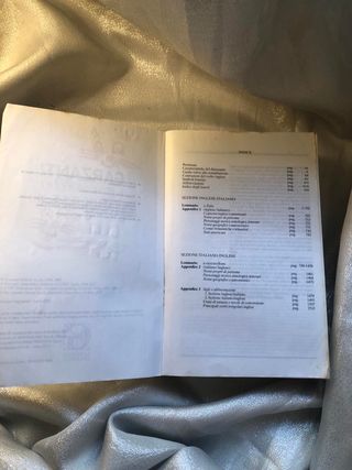 I garzantini dizionario di inglese