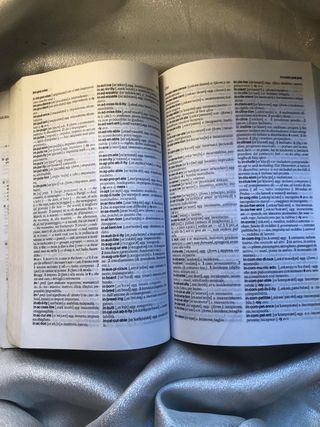 I garzantini dizionario di inglese