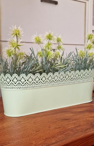 Macetero + 4 plantas IKEA