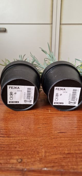 Macetero + 4 plantas IKEA