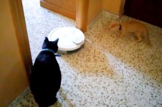 Robot Aspirador/Fregador