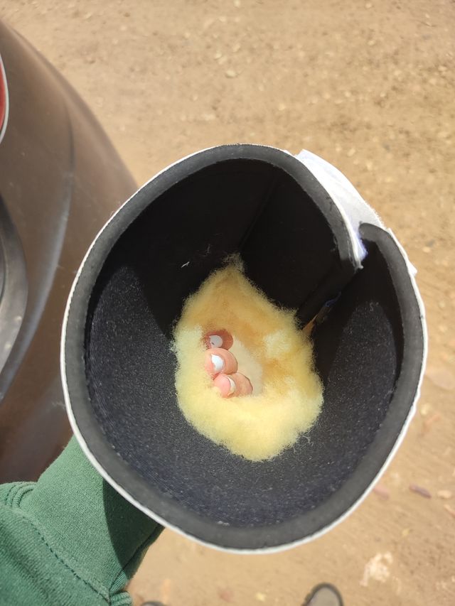 Campanas NUEVAS caballo