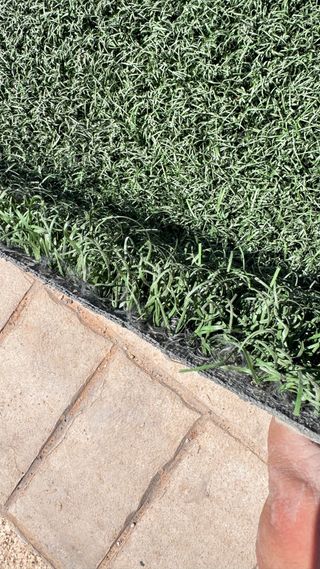 Oferta cesped reciclado