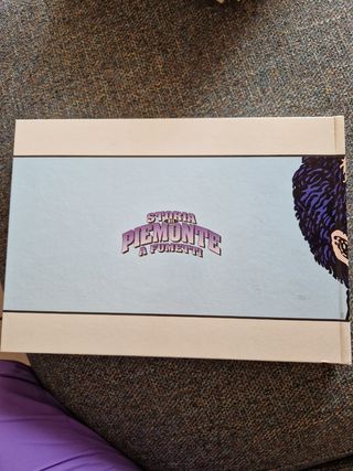 Libro "Storia del Piemonte a fumetti"