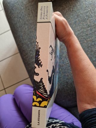 Libro "Storia del Piemonte a fumetti"