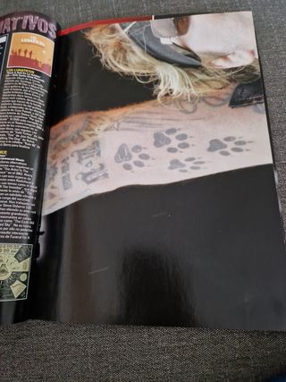 Revistas