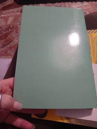 La chiesa, l apostasia e la ....