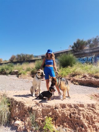 Cuidadora y paseadora de perros 🐕un