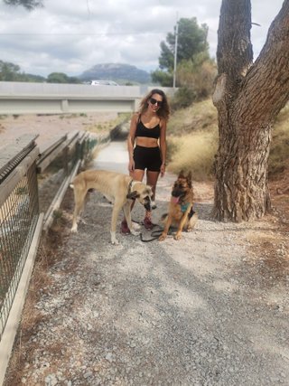 Cuidadora y paseadora de perros 🐕un