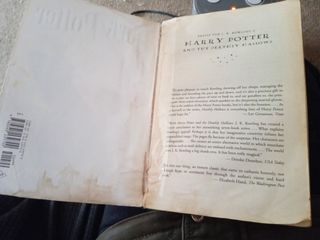 Harry Potter original