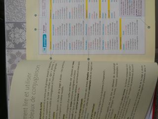 diccionario francés español larousse