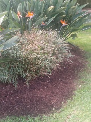 JARDINERIA  GALLARTA