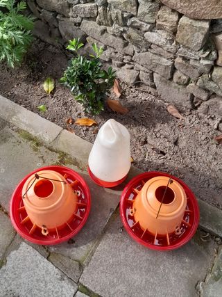 Comederos y bebedero de aves