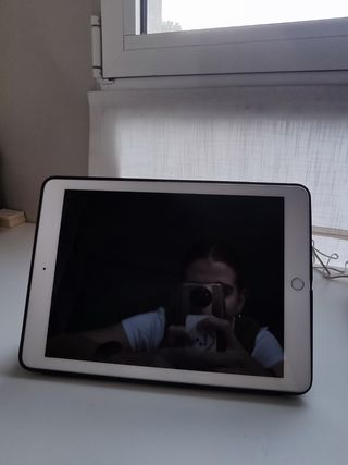 iPad Modelo A1893 + Apple Pencil