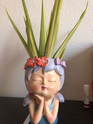 Maceta decorativa ✨