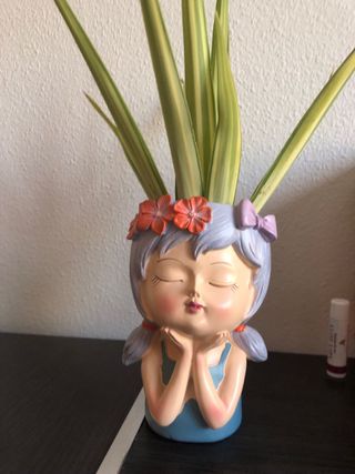 Maceta decorativa ✨