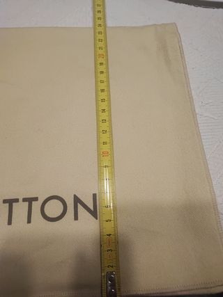 Sacchetto Louis Vuitton