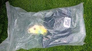 Cinturones peugeot 306