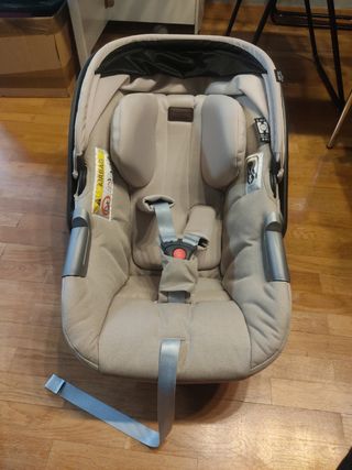 INGLESINA DARWIN I-SIZE HAPTIC