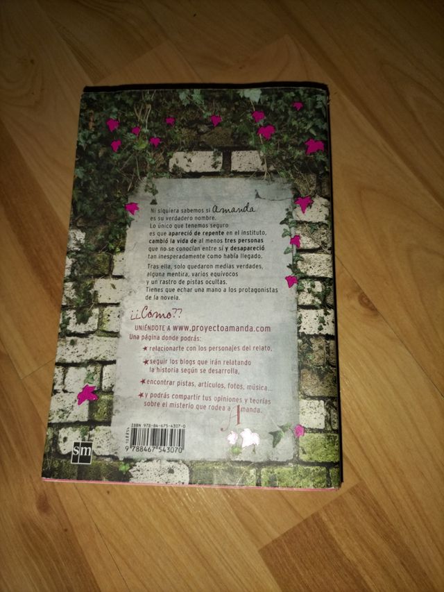 Proyecto Amanda