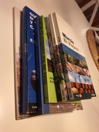 Lote de 7 guías de turismo