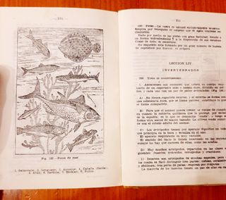 Libro antiguo ciencias de la naturaleza