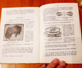 Libro antiguo ciencias de la naturaleza