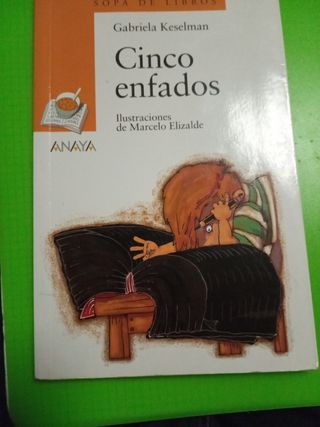 Libro Cinco Enfados
