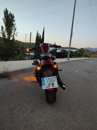 Harley Davidson sportster roadster 1200