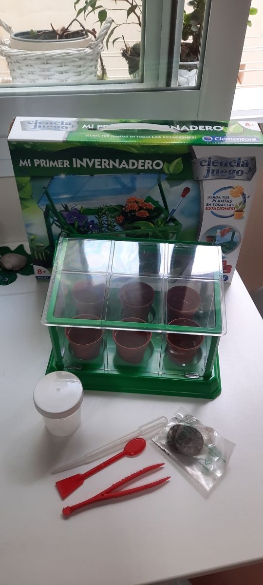 INVERNADERO PARA NIÑOS
