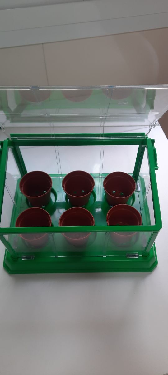 INVERNADERO PARA NIÑOS