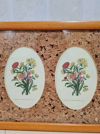 Pack cuadros de flores