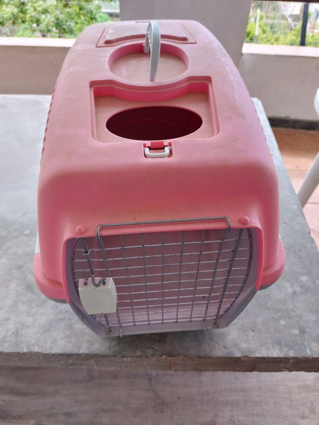 Transportin/jaula animales